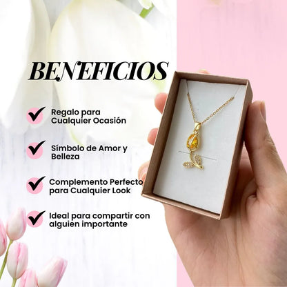 Set de Tulipanes 🌷 |Envíos Gratis