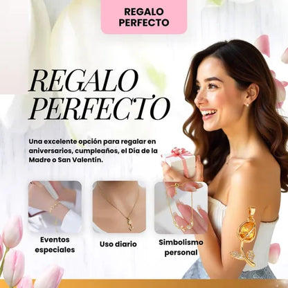 Set de Tulipanes 🌷 |Envíos Gratis